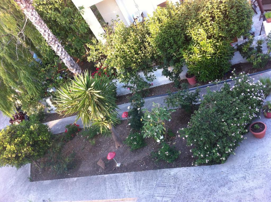 Manine Apartments Kos Chambre photo